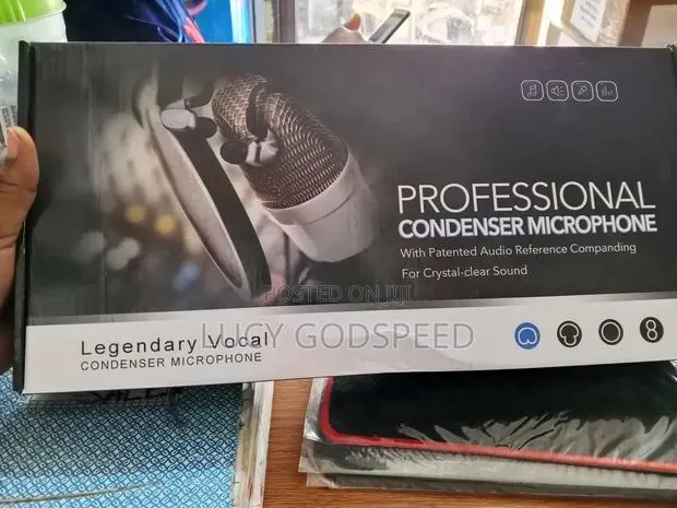 Professional Condenser Microphone · Photo 1