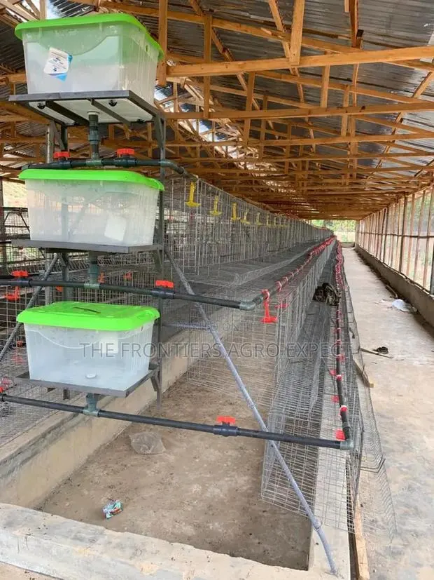 Battery Cage and Coop Construction · Photo 1