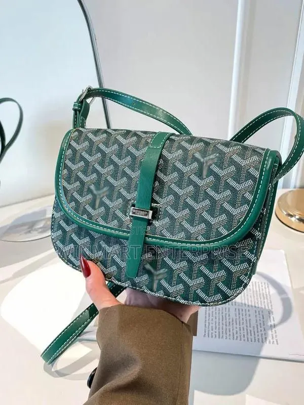 Goyard Designer Side Bag · Photo 1