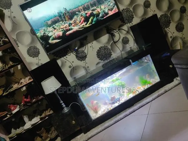 5ft+ Aquarium Tv Stand With 3 Free Fishes Feed · Photo 2