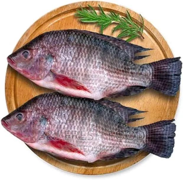 Tilapia Fresh Food Available · Photo 1