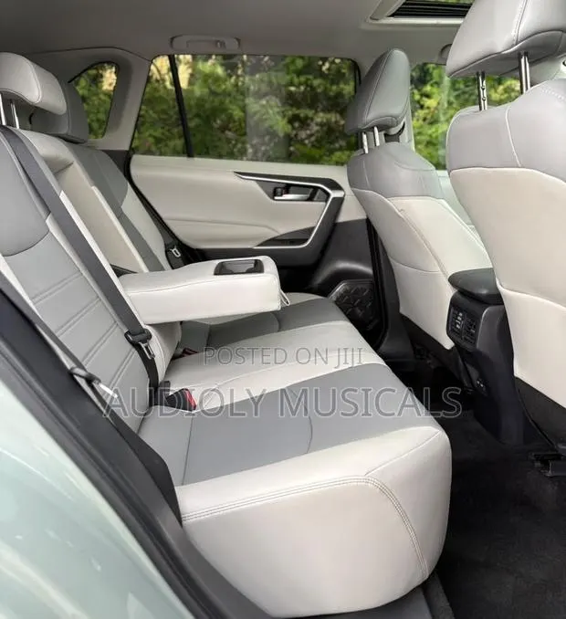Toyota RAV4 XLE Premium AWD 2023 Green · Photo 1