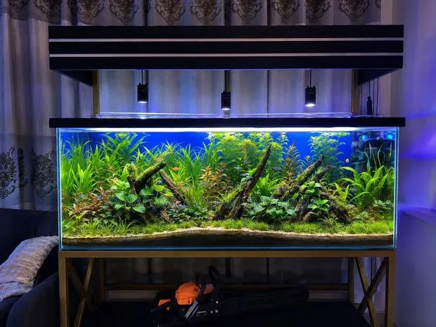 Premium Planted Freshwater Aquarium · Photo 1