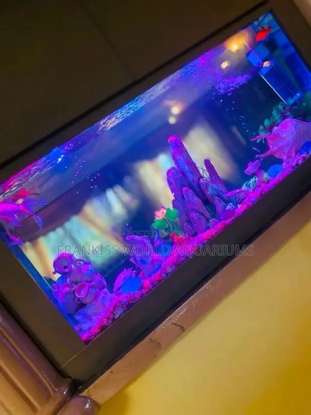 Double View Wall Unit Aquarium · Photo 3