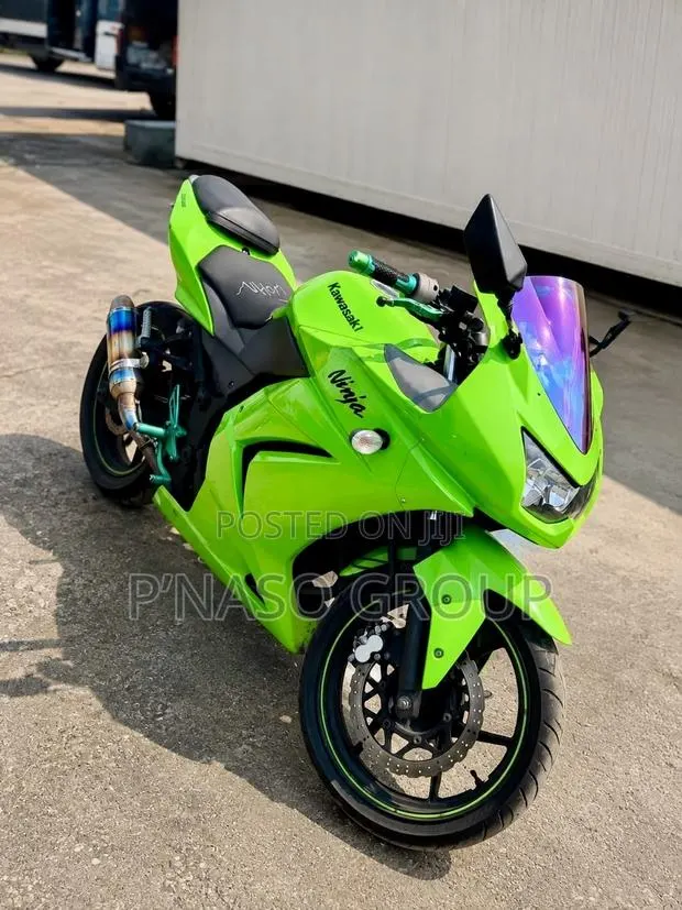 Kawasaki Ninja 300 2018 Green · Photo 1
