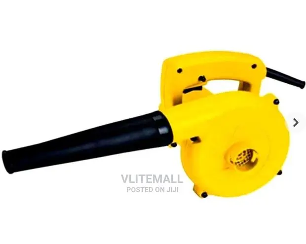 Electric Blower 800W Upspirit · Photo 1