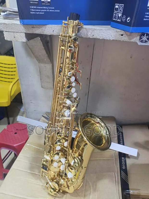 Alto Saxophone · Photo 1