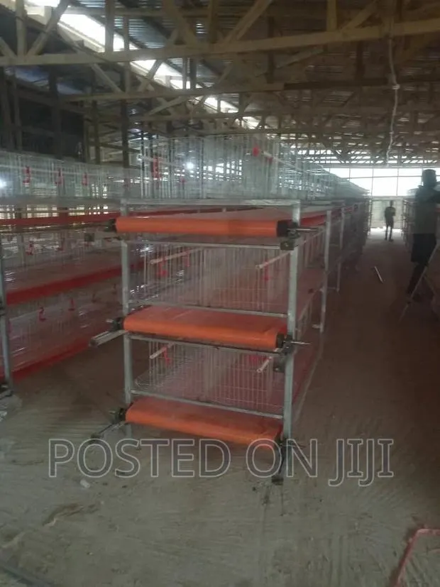 Battery Cage System (Chicken Layers) · Photo 1