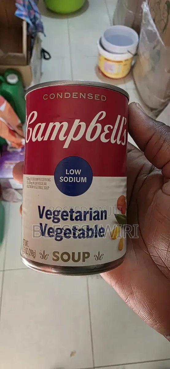 Campbell's Vegetarian Vegetable Soup Canned Condensed From USA · Photo 1