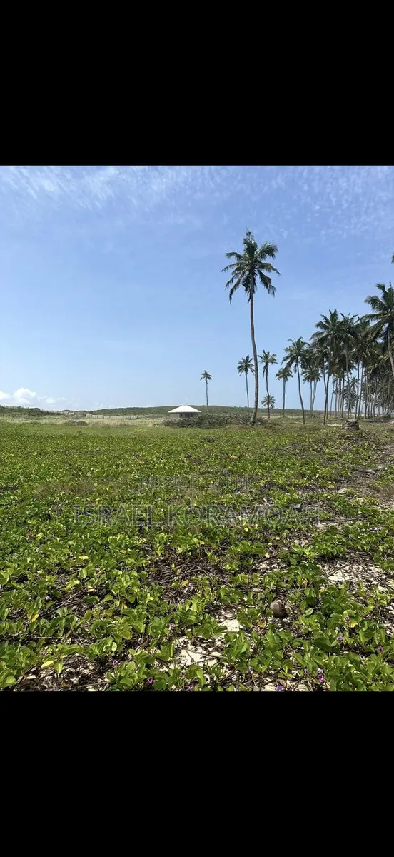 22 Beachfront Plots for Sale! · Photo 1