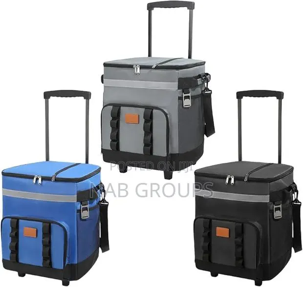 Large Insulated Picnic Bag · Photo 1