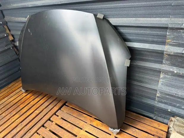 Hyundai Elantra 16-18 Hood/ Bonnet · Photo 1