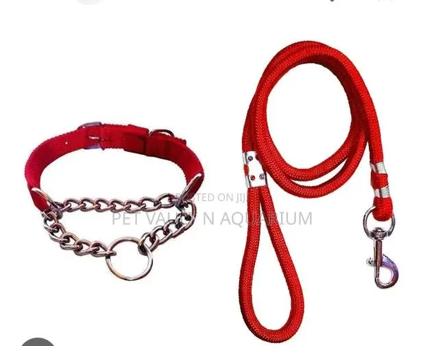 Dogs/Cats Leash · Photo 1