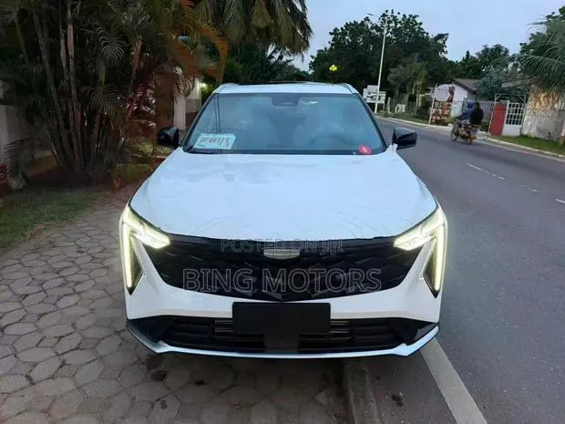 Geely Boyue 2025 White · Photo 1