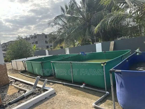 Tarpaulin Fish Pond 1000L Heavy Duty - For Catfish Tilapia - Winneba · Photo 1
