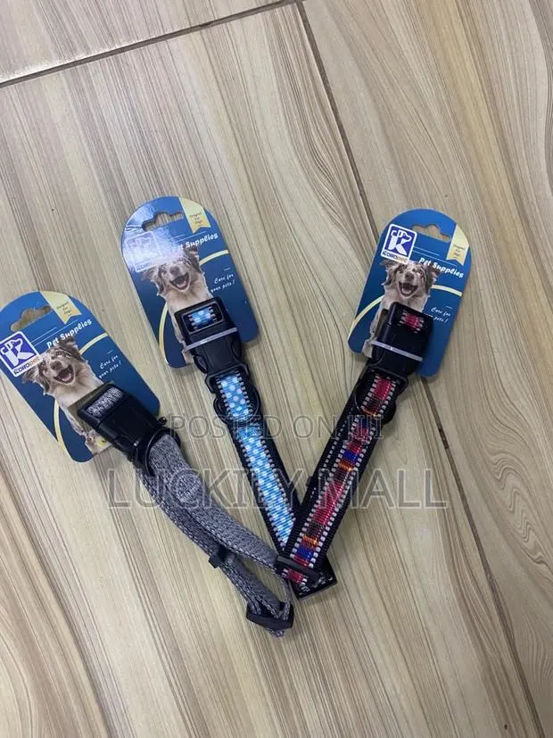 Dog Collar 2.5cm · Photo 1