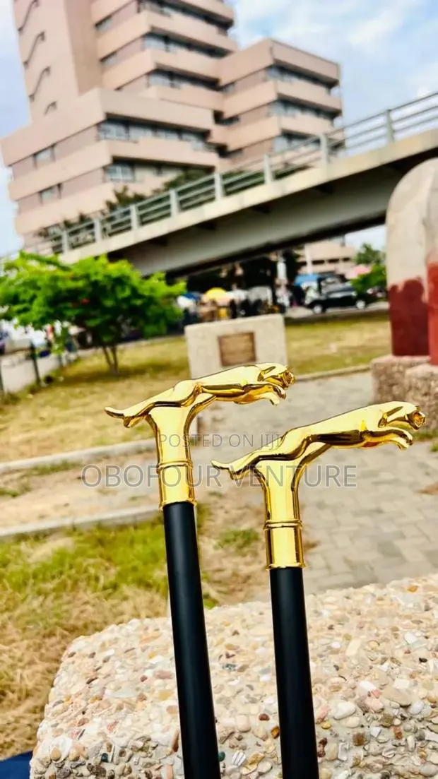 JAGUAR HEADED, Stylish Fashion Traditional Walking Stick · Photo 1