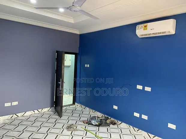 Professional Painter · Photo 1
