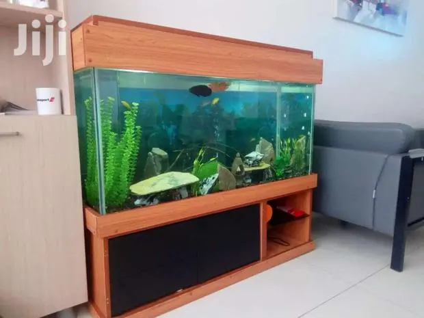 Aquarium · Photo 1