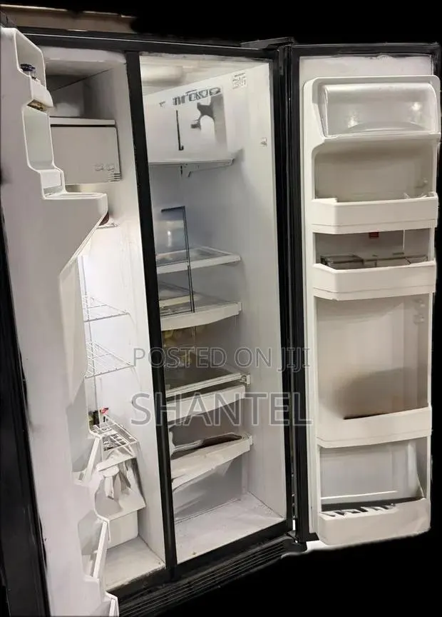 Side by Side LG Fridge