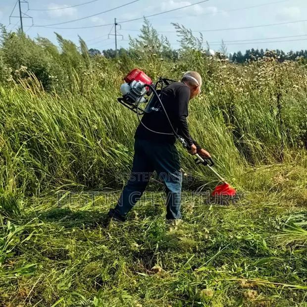 4 Stroke Farm Clearing/Weeder · Photo 1