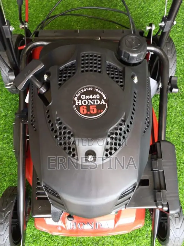 Gasoline Mower Machine · Photo 1