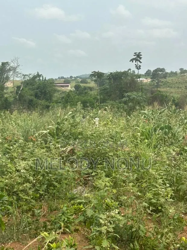 Estate Lands for Sale · Photo 1