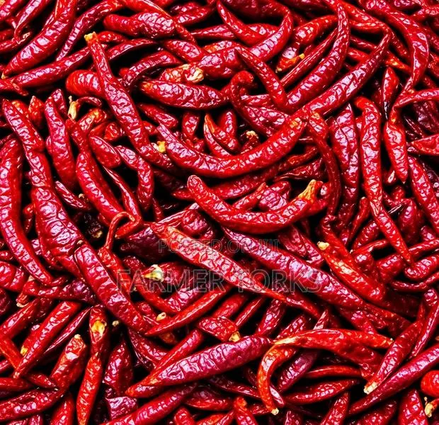 Chilli Dry Pepper · Photo 1