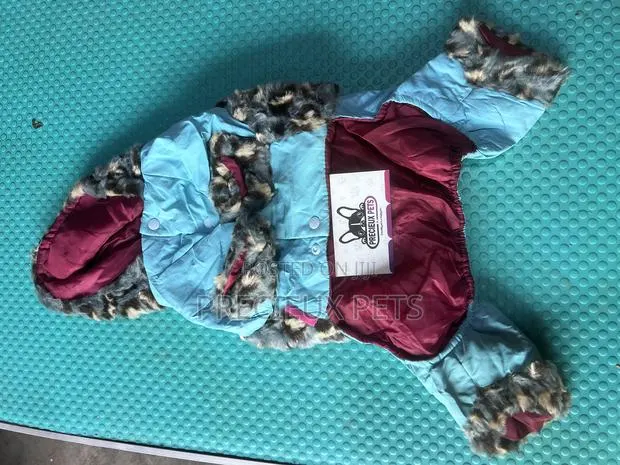 Toy Dog Clothing- New Stock -2025-0 862929 · Photo 1