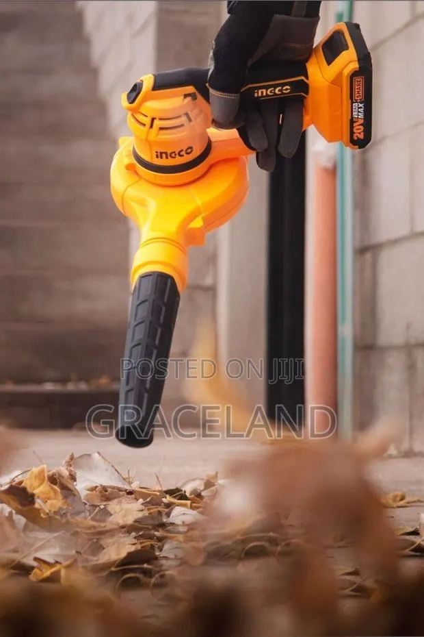 This Is Original INGCO Industrial Air Blower Cordless · Photo 1