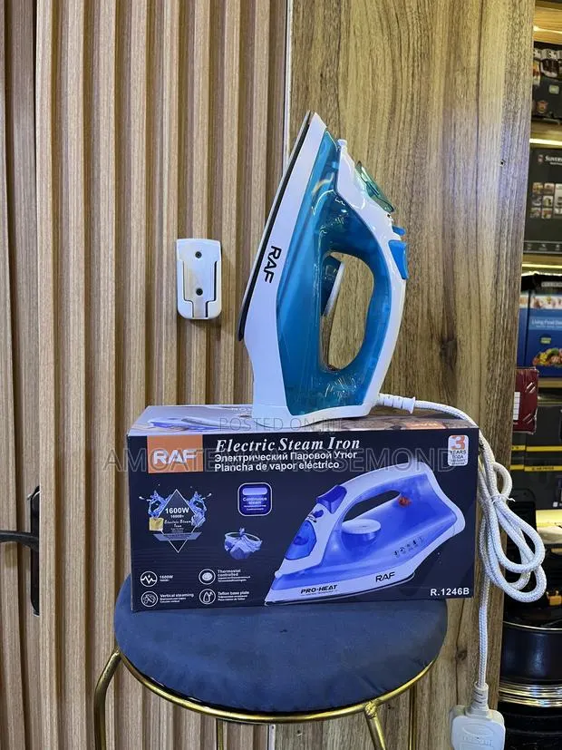 Electric Steam Iron · Photo 1