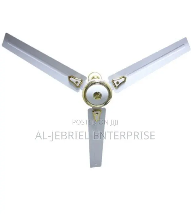 Deleon Long Blade Ceiling Fan · Photo 1