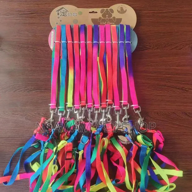 Rainbow Leash Harness Medium · Photo 1