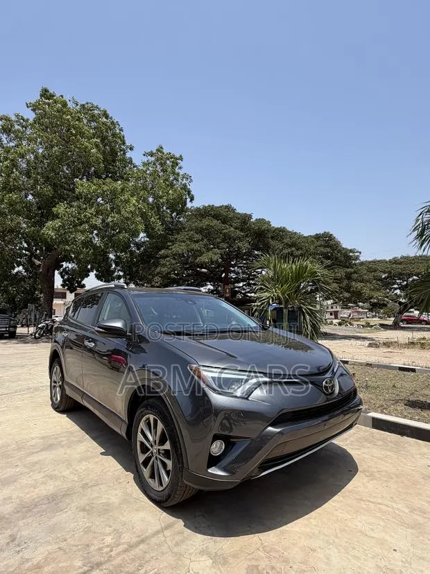 Toyota RAV4 Limited 4dr SUV AWD (2.5L 4cyl 6A) 2018 Gray · Photo 1