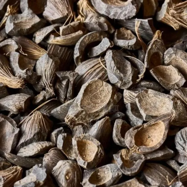 Palm Kernel Shells · Photo 1