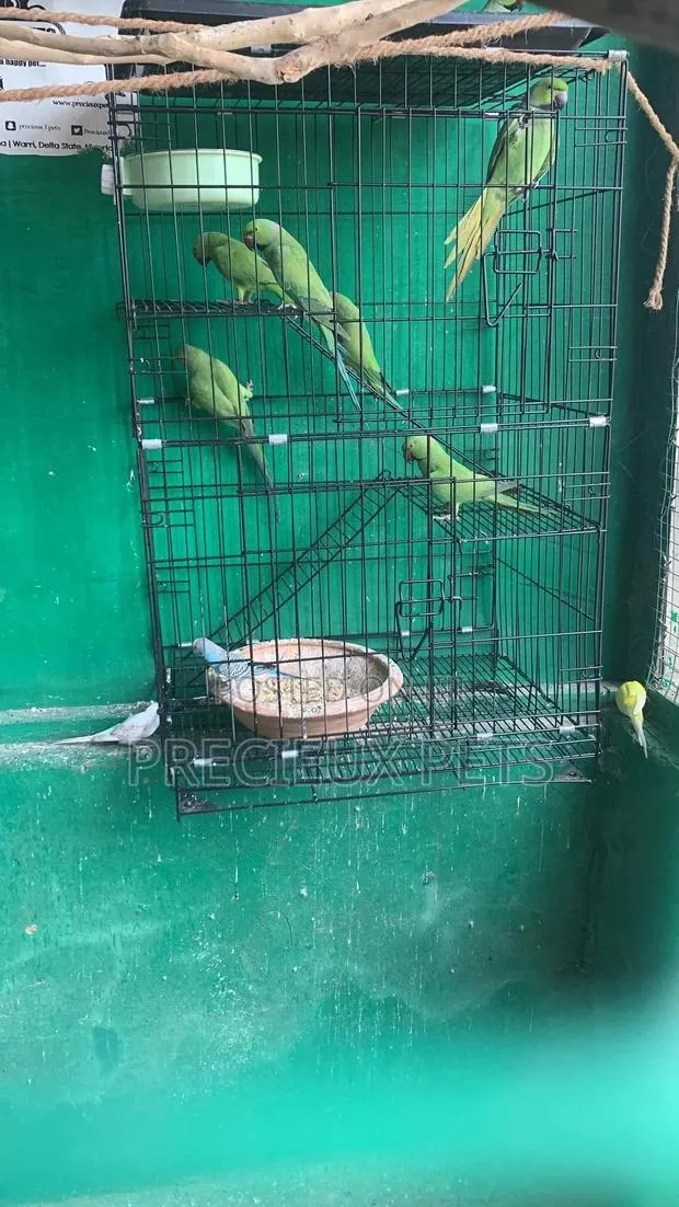 XXXL Parrot Cage · Photo 1