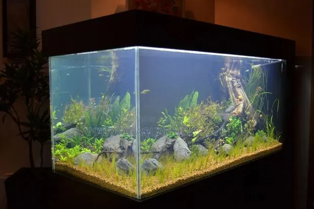 Premium Aquarium · Photo 1