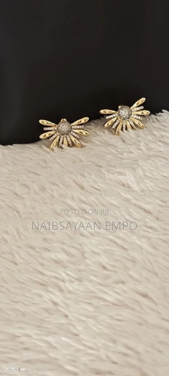 Unique Women Pair of Earrings · Photo 1