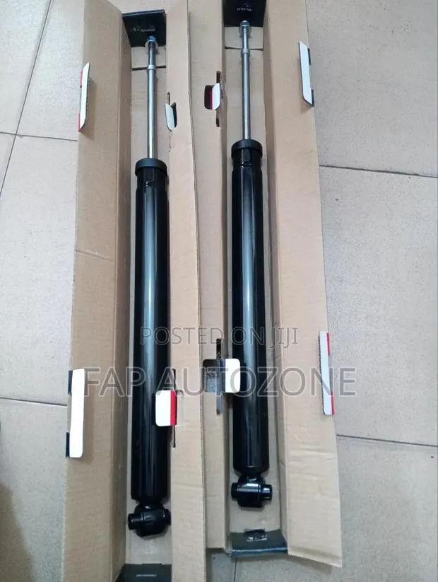 Premium FCS Chrysler 300, Dodge Charger, Magnum Shocks From USA · Photo 1