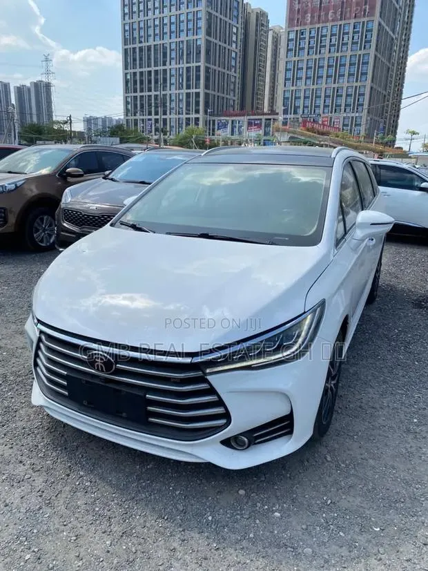 BYD Song Pro DM-i 2019 White · Photo 1