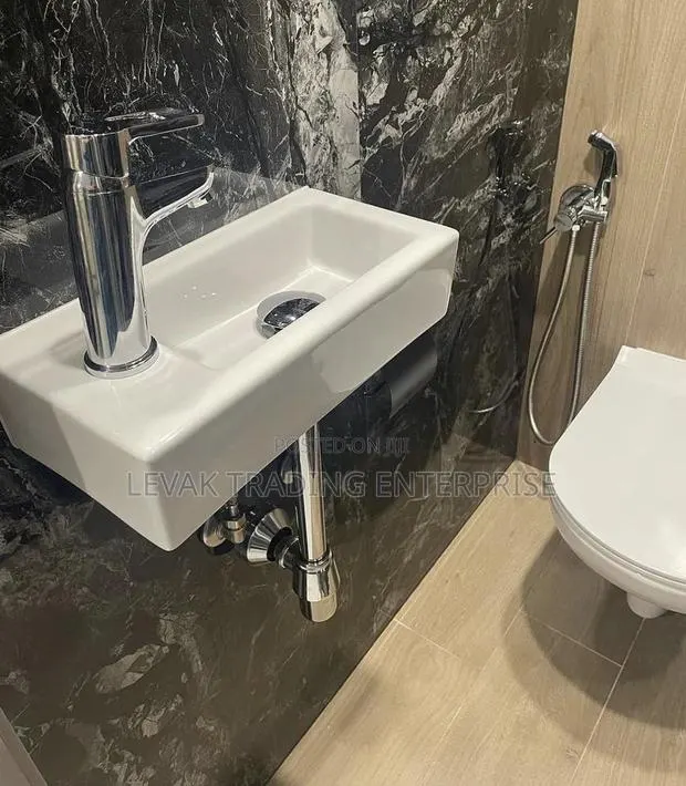 Water Closet Basin - Bath Sink · Photo 1