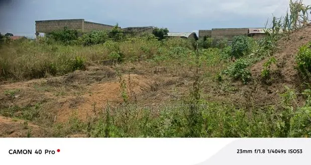 Half Plot 450 000 · Photo 1