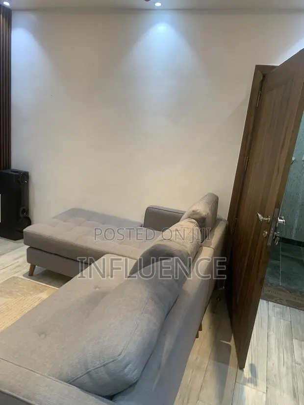 Furnished 1bdrm Apartment in Osu for rent