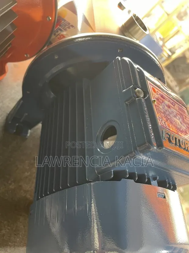 Pedrollo Water Pump · Photo 1