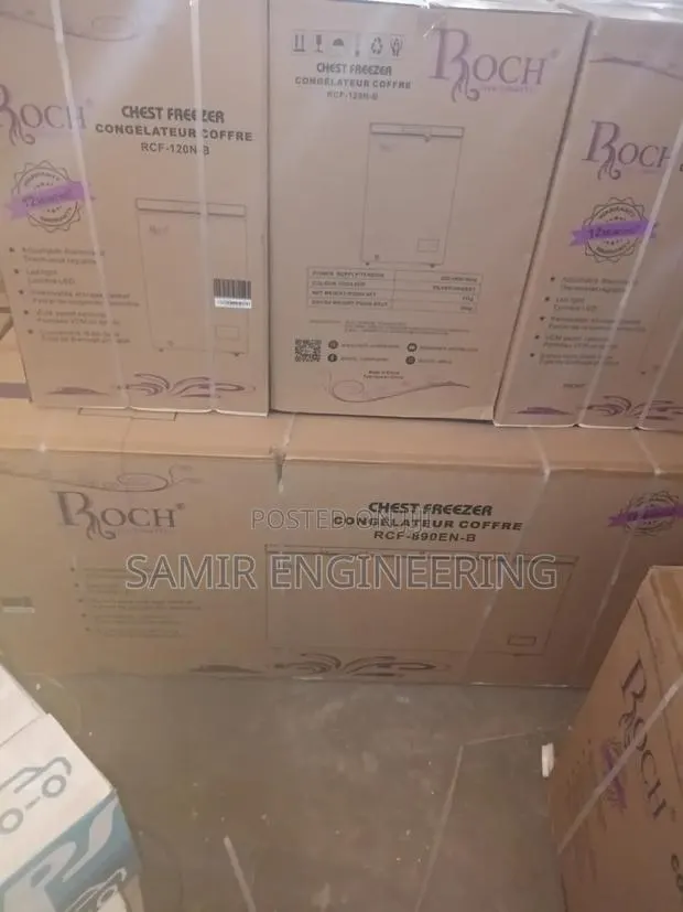 The Giant Chill: Roch 708L Double-Door Freezer · Photo 1