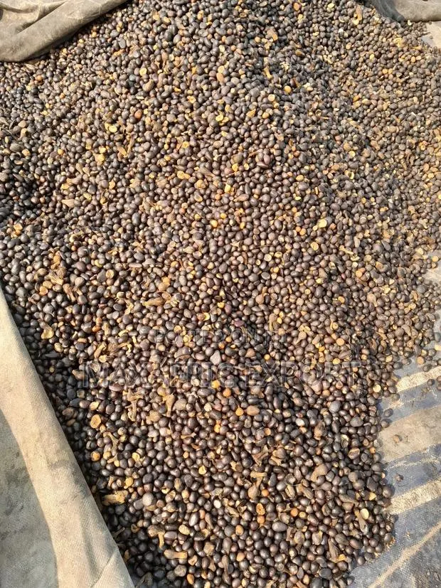 Palm Nut Kernels · Photo 1