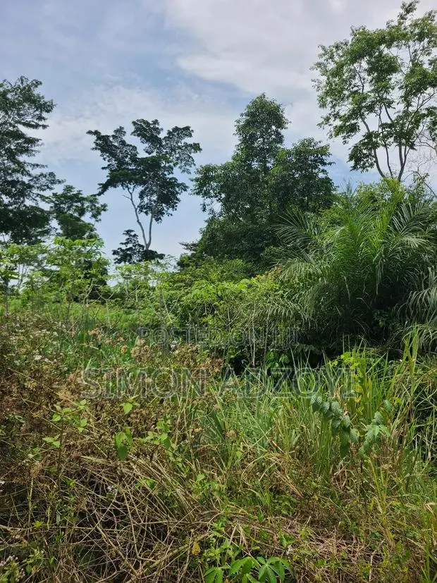 50,000 Farm Land Available for Long-Term Lease · Photo 1