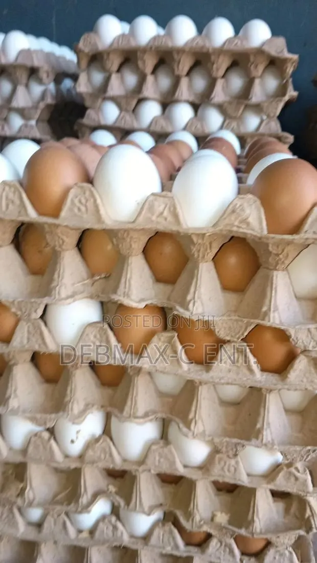 Diamond Eggs · Photo 1