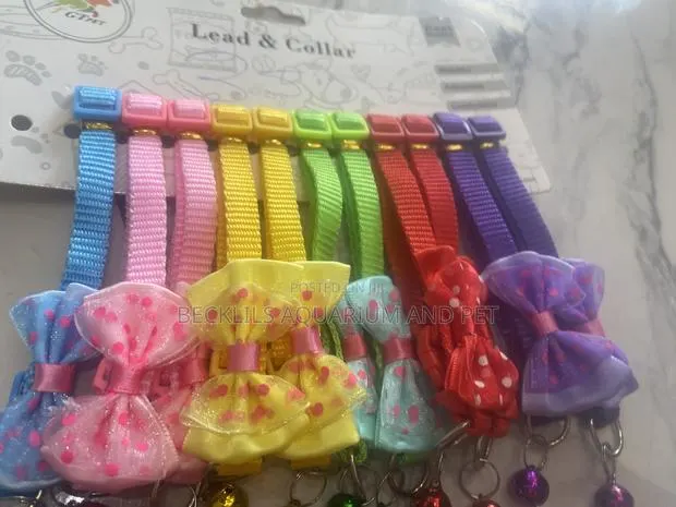 Led and Collar for Dogs N Cat · Photo 1