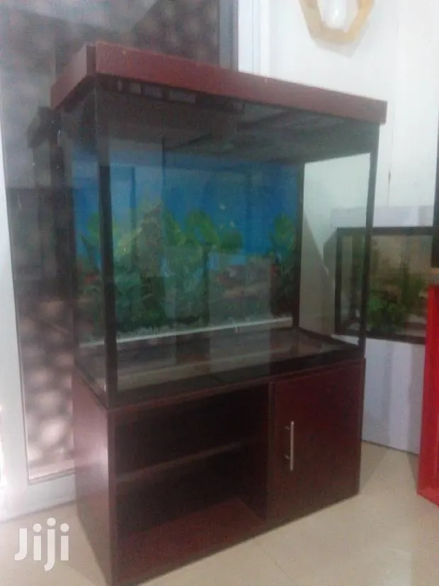 Aquarium With 15fishes · Photo 1